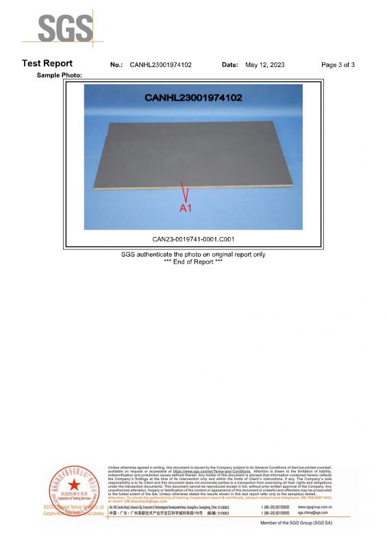 2023SGS亚美AM8AG旗舰厅家居检测报告英文版